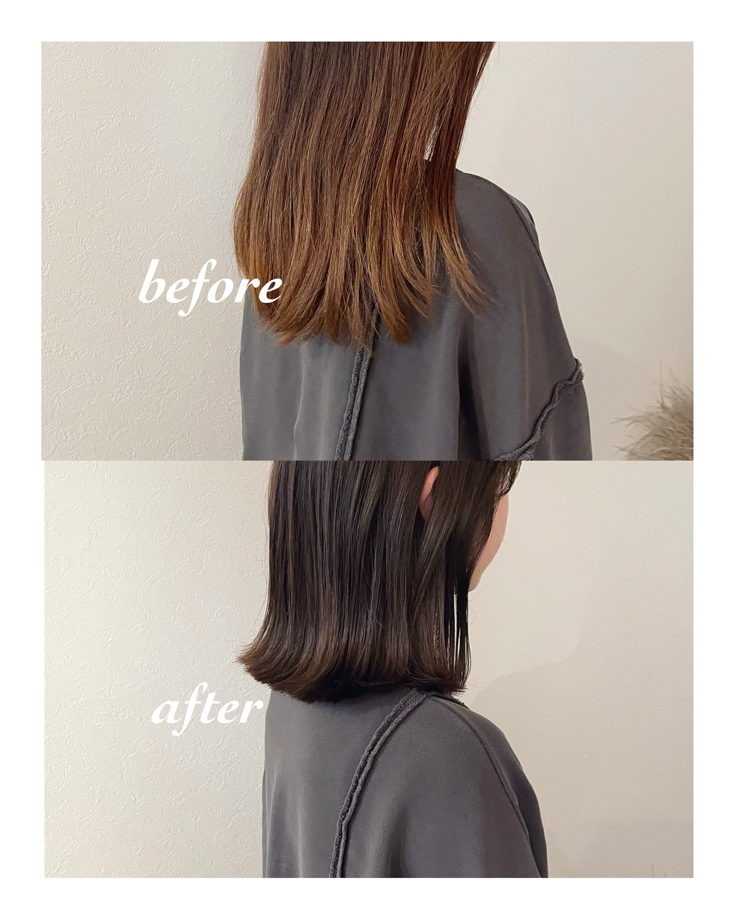 8トーンのオリーブグレー（ボブ・ミディアム・ロング・カラー・ヘアアレンジ）