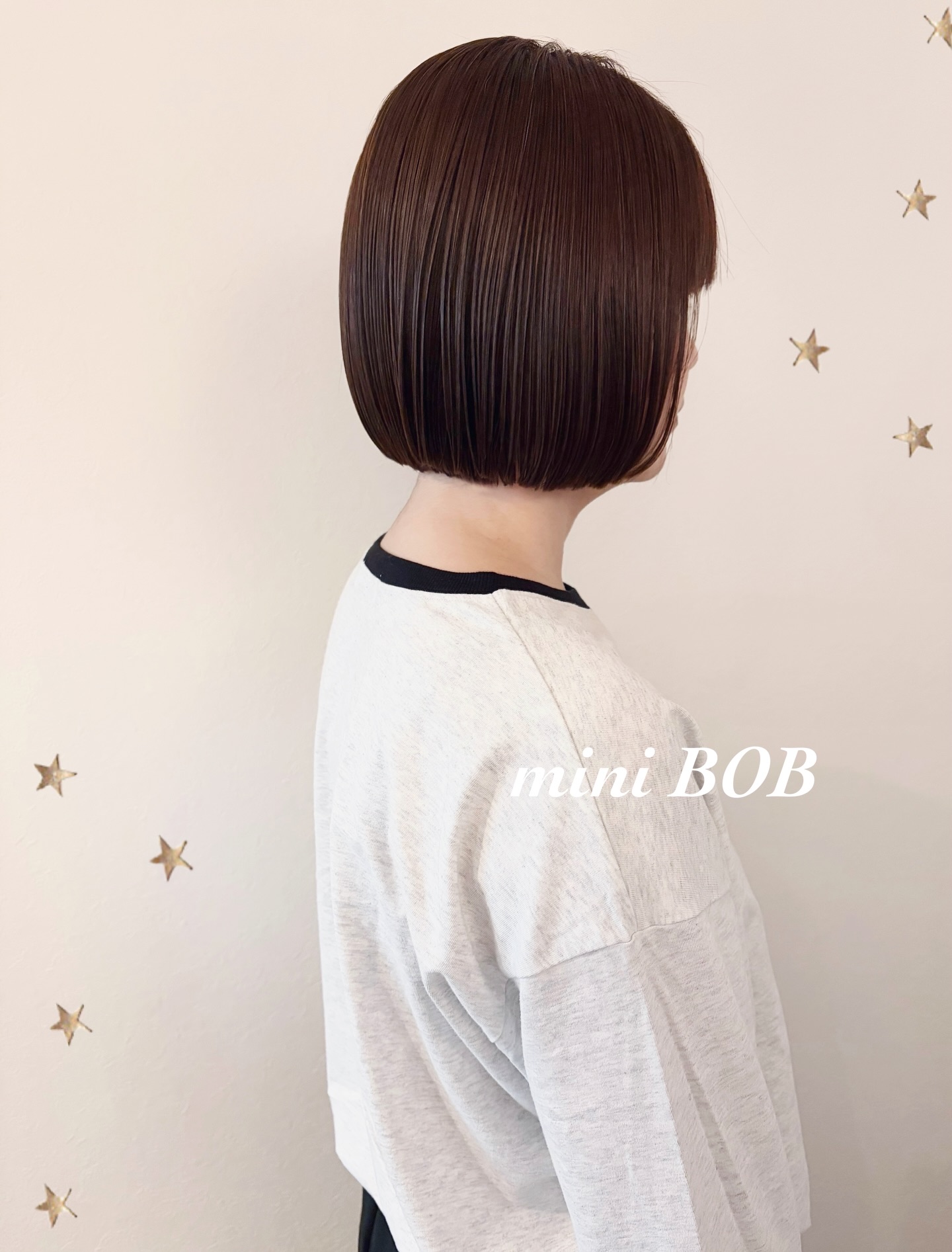 mini BOB
