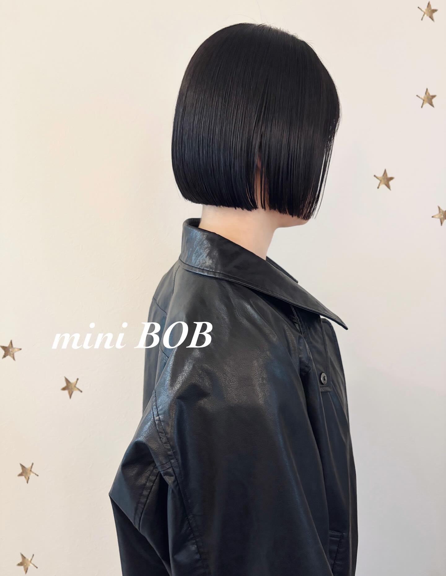 mini BOB