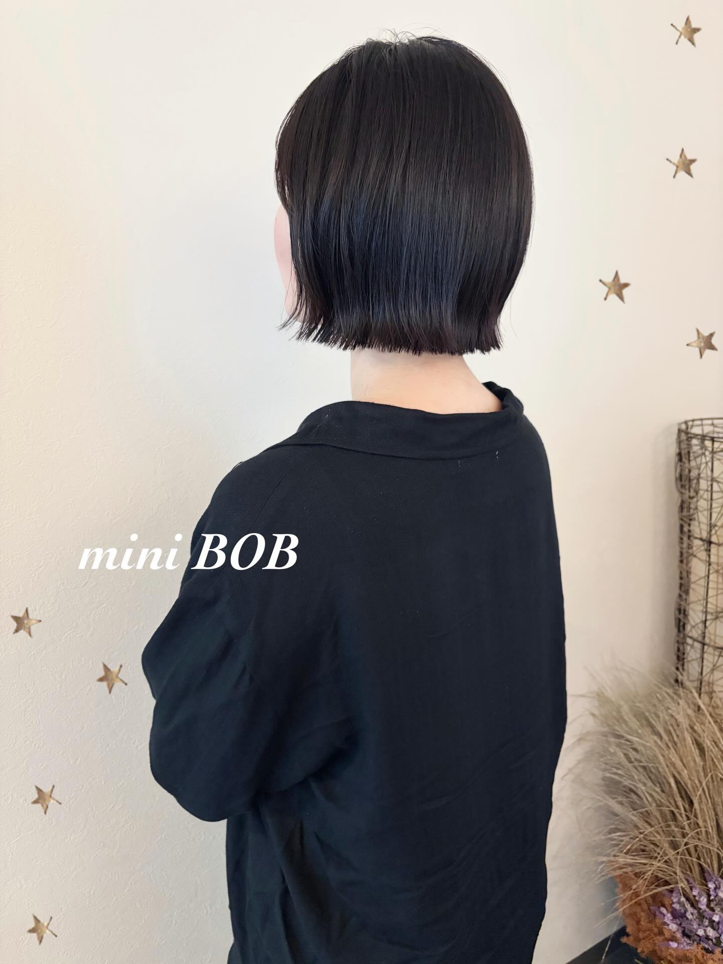 mini BOB