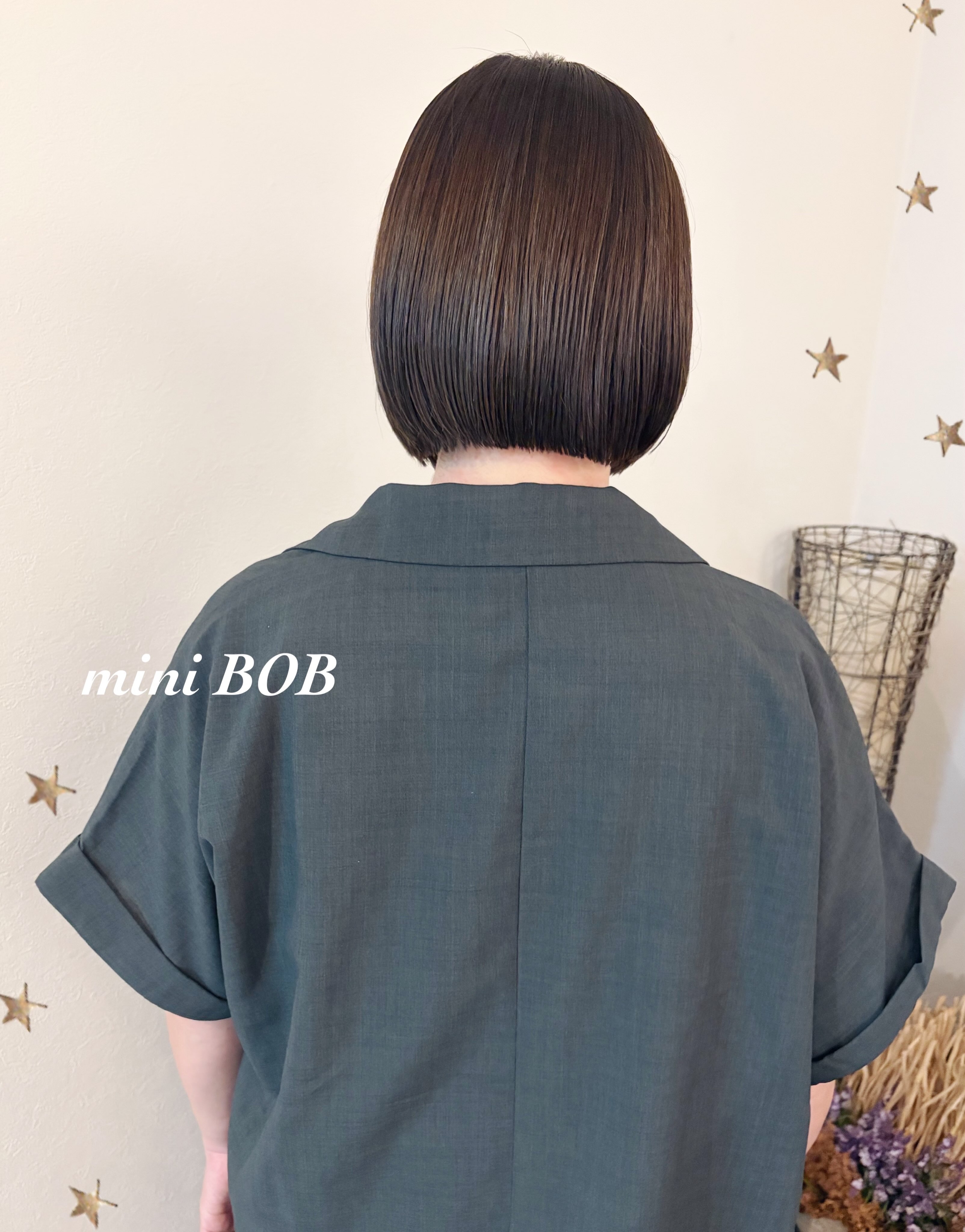 mini BOB