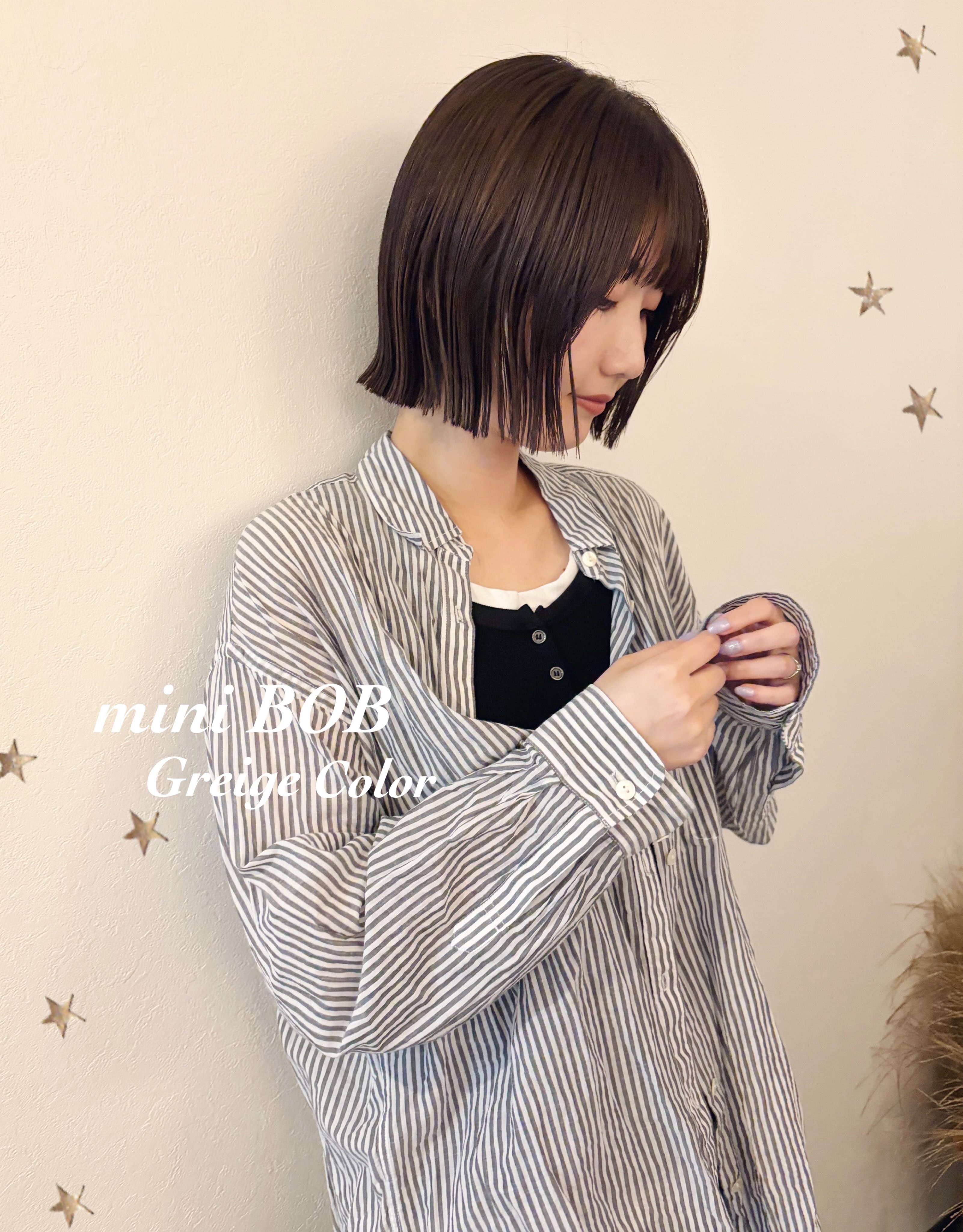 コンパクトなmini BOB
